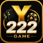 Y222 game
